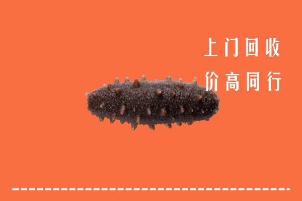 高价求购：楚雄州回收海参